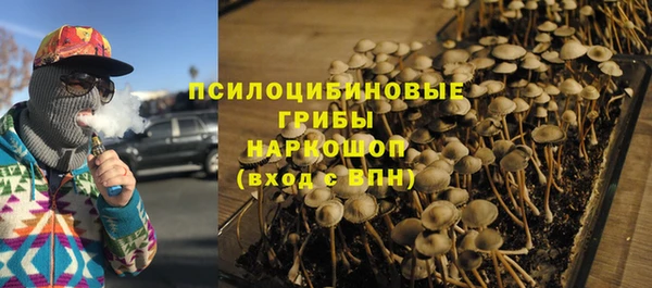 СК Зеленодольск