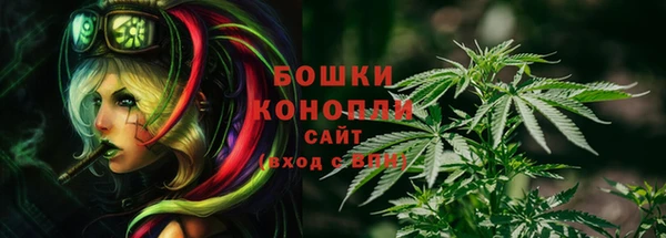 СК Зеленодольск