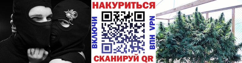 Купить закладки  Кировград  МАРИХУАНА Ganja 